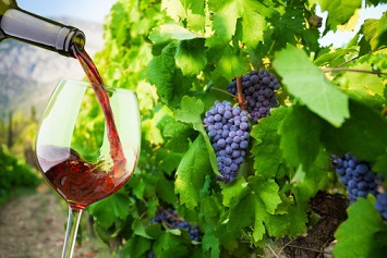 ボージョレヌーボー解禁！