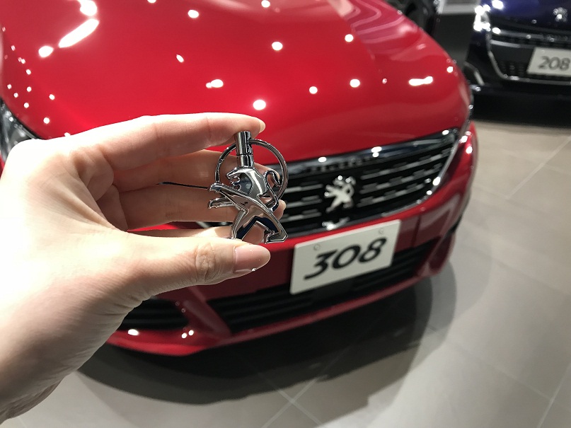 ☆再入荷☆ライオンキーリング