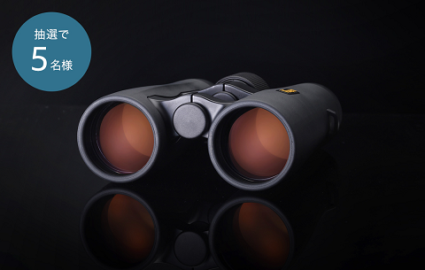 8 SPEED 体感試乗キャンペーン