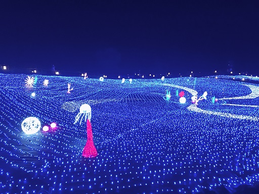 神秘的な光の世界