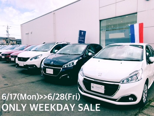 ONLY WEEKDAY SALE！