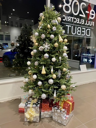 イルミネーション☆彡