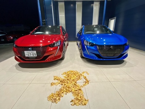 落ち葉アート🍂