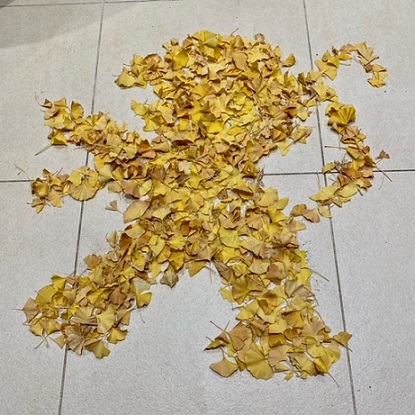 落ち葉アート🍂