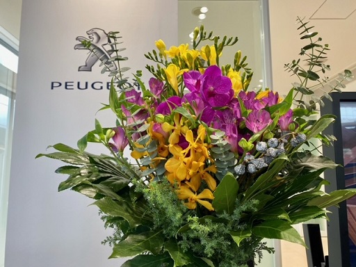 🌷今週のお花🌷