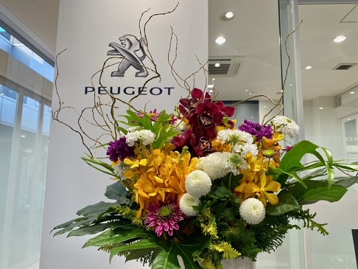 🌹今週のお花🌹