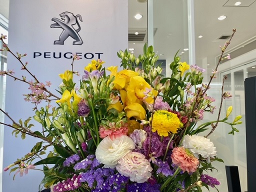 🌷今週のお花🌷