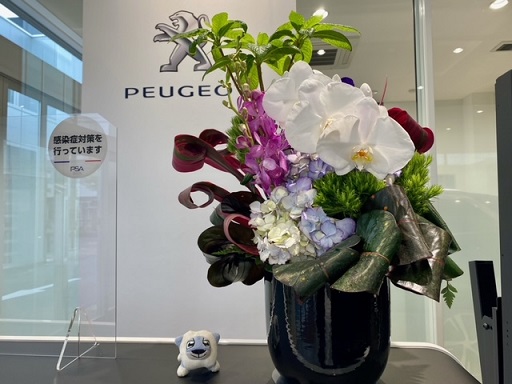 ✿今週のお花✿