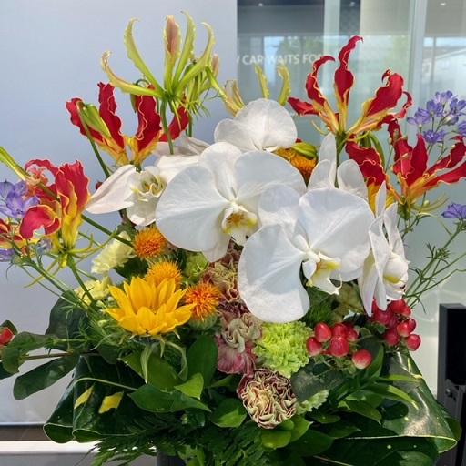 🌷今週のお花🌷