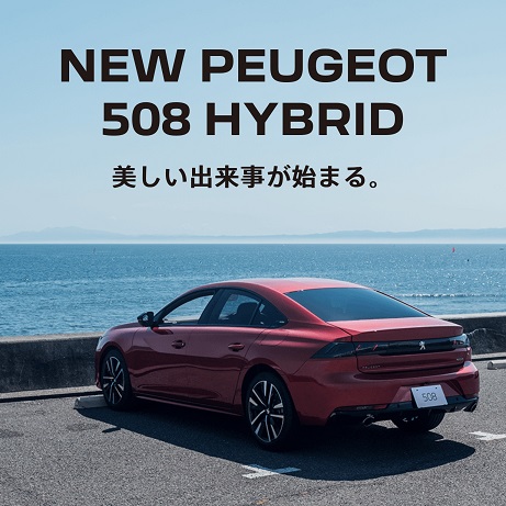 美しいライオンフェア開催🦁