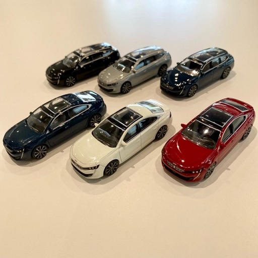 美しいライオンフェアのプレゼント🎁