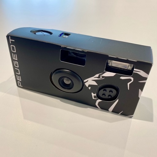 美しいライオンフェアのプレゼント🎁