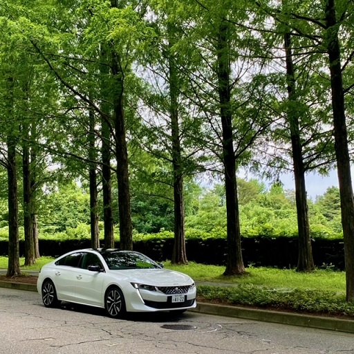 508ハイブリッドの試乗車準備できました♪