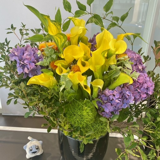 お花入れ替えしました🌷