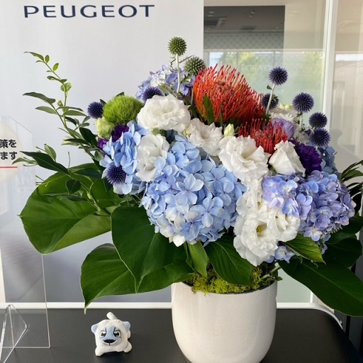 ✿今週のお花✿