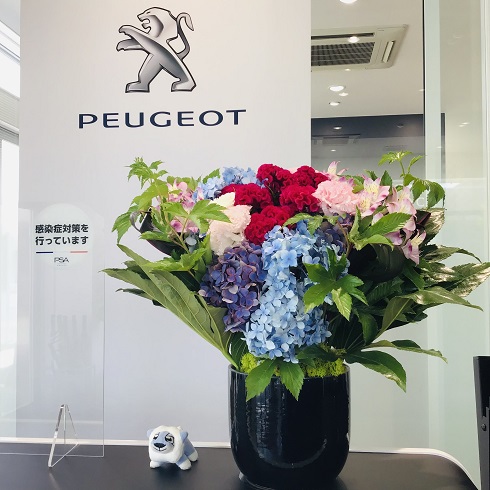 ✿今週のお花のご紹介✿