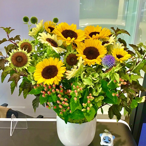 ✿今週のお花✿