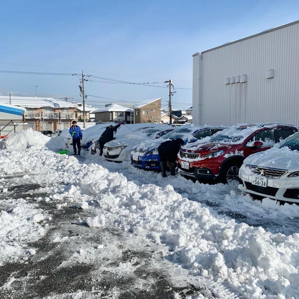 雪かき頑張りました❅