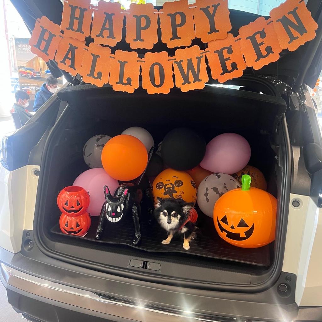 3008HYBRID4　ご納車ありがとうございます✨