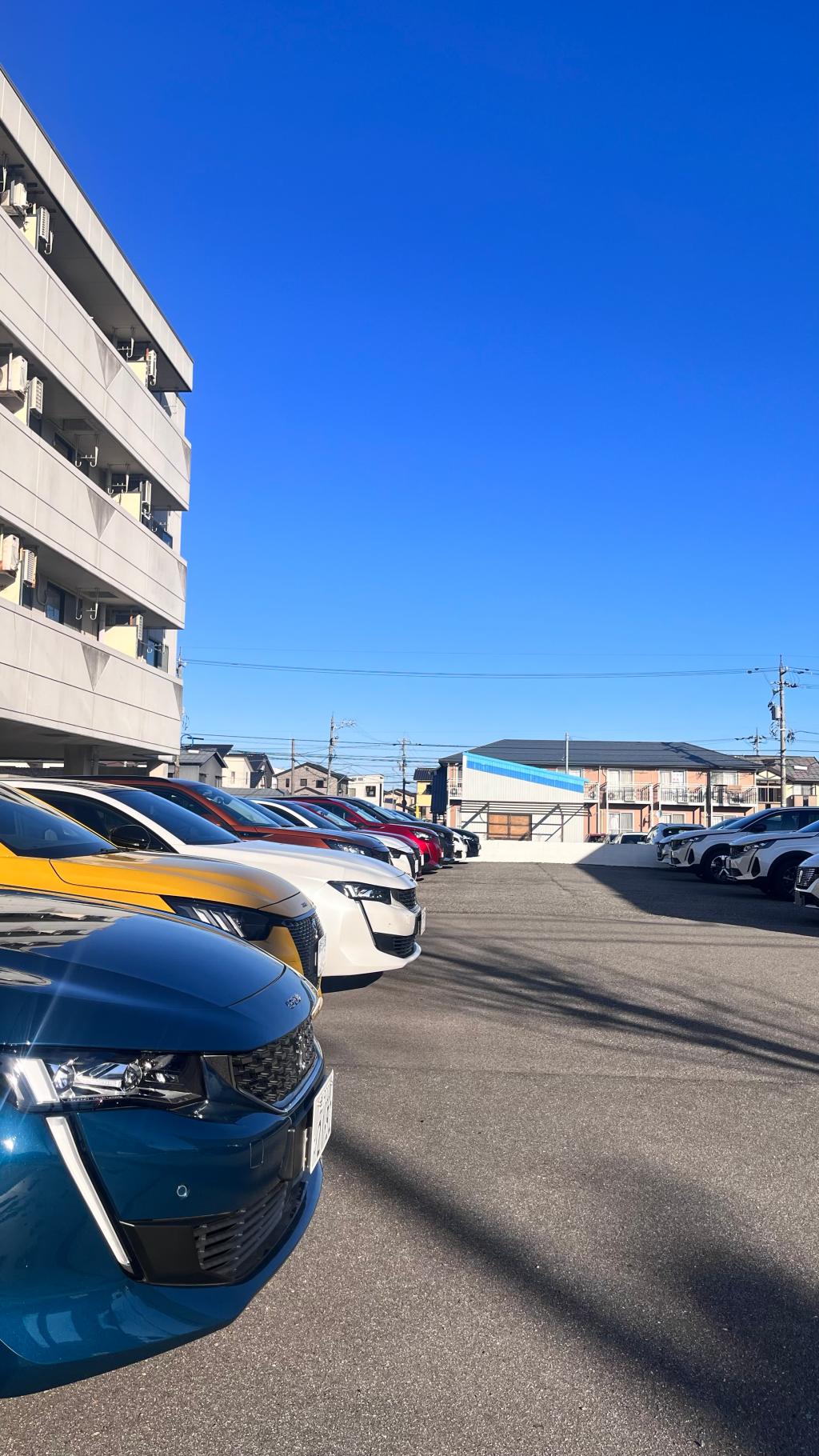 2022年最後の朝清掃♪