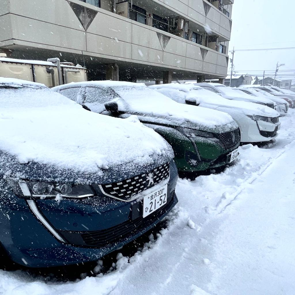 積雪です～！！！❅⛄