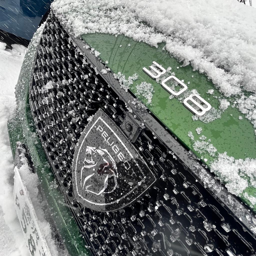 積雪です～！！！❅⛄