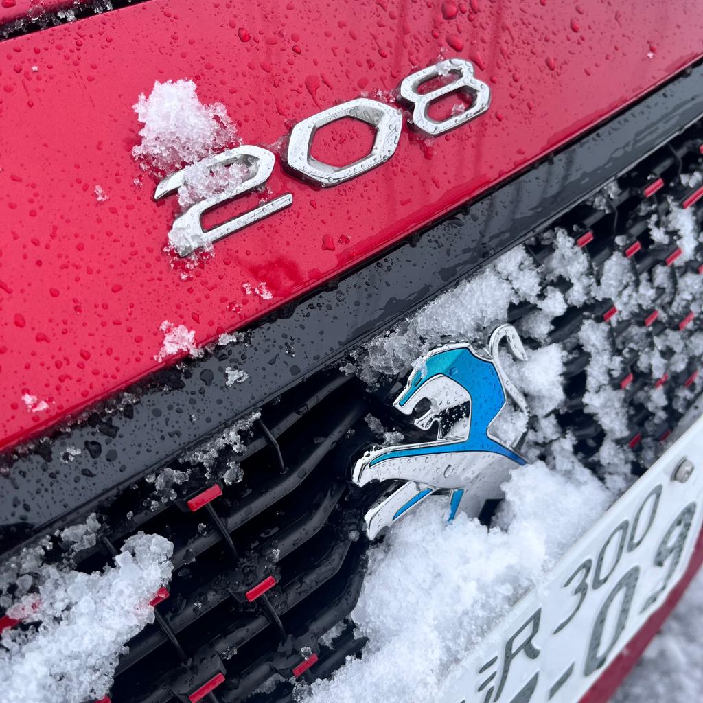 積雪です～！！！❅⛄