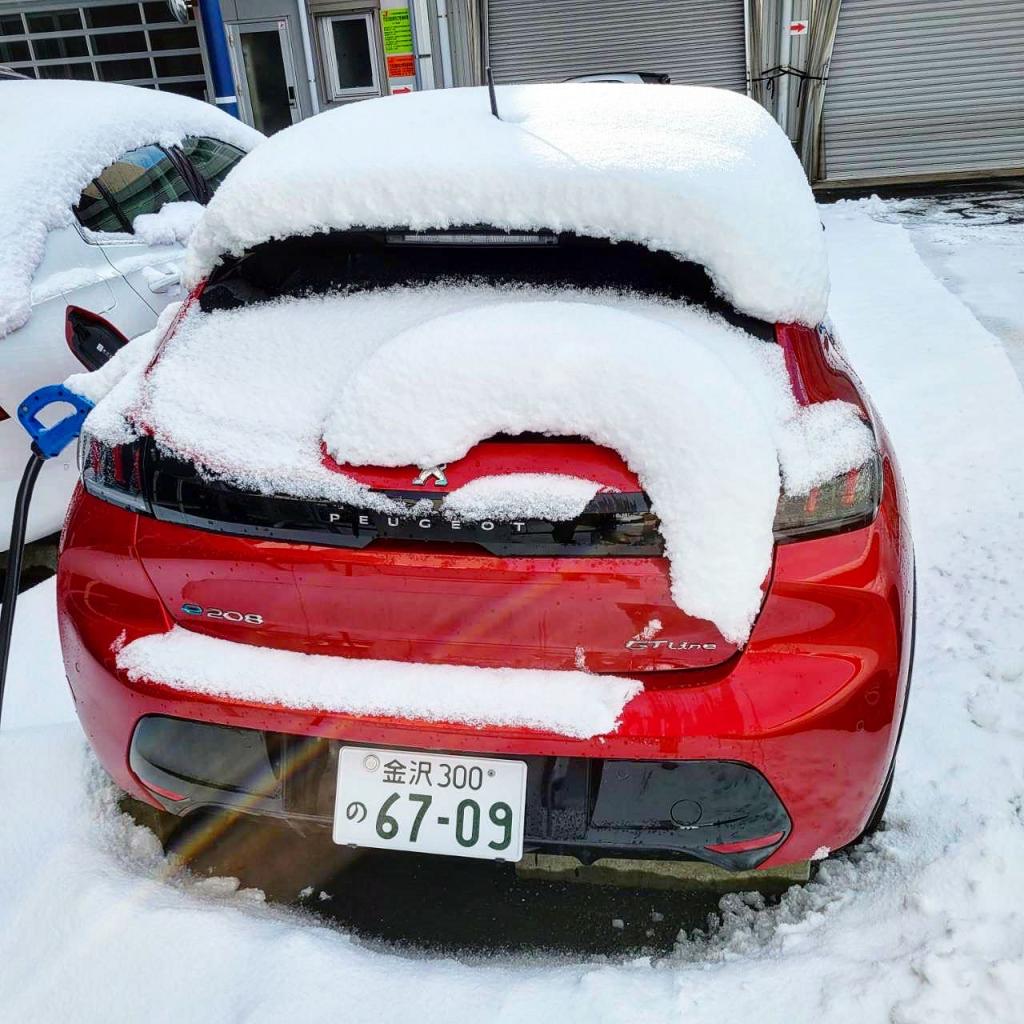 ライオンのしっぽ！！