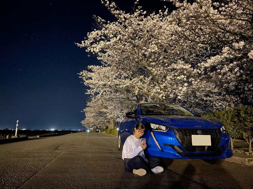 夜桜と208