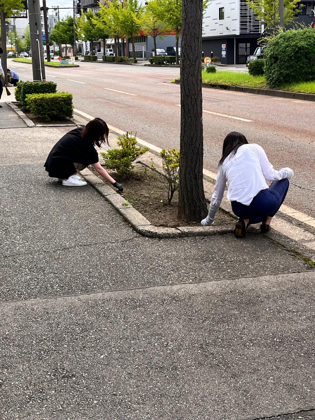 毎月恒例『草むしり🍃』