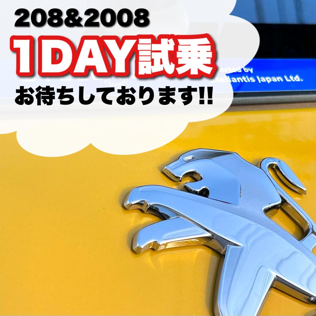 1DAY試乗してみませんか？🚗