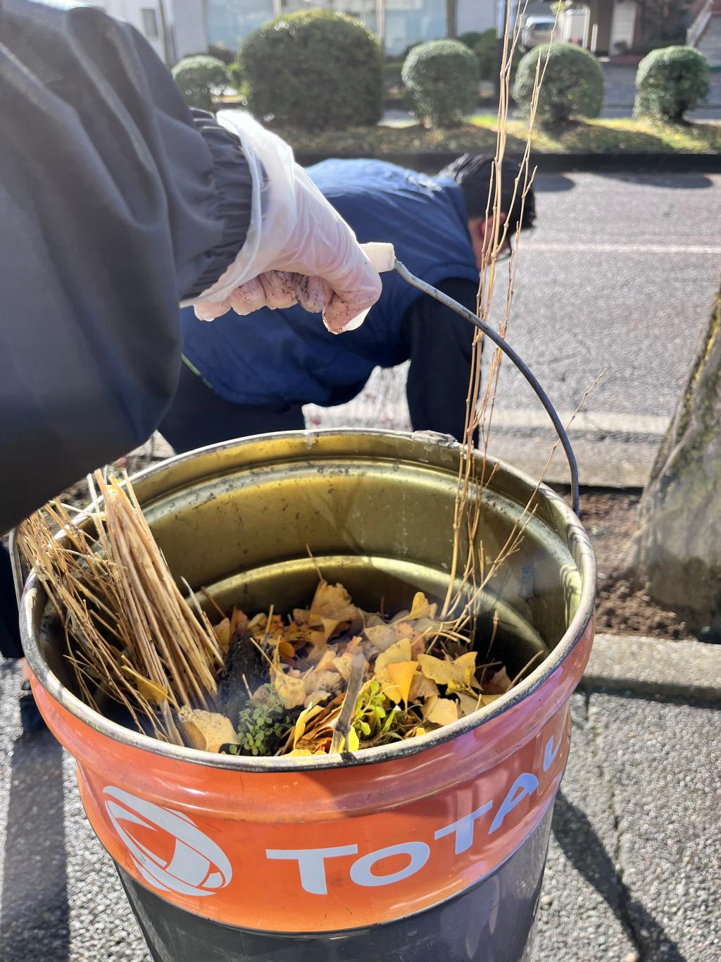 落ち葉拾い🍂