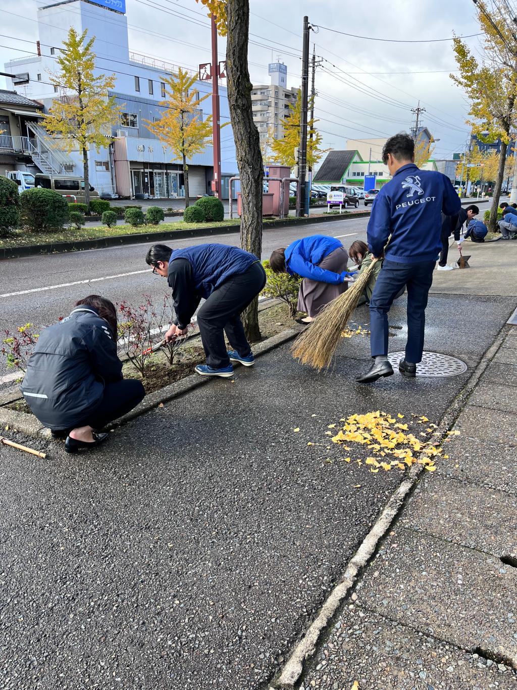 落ち葉拾い🍂