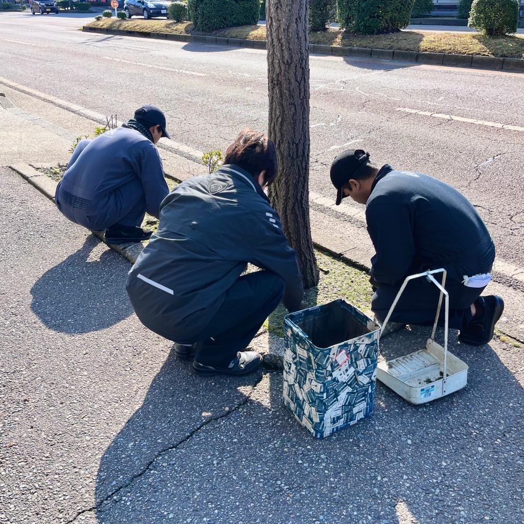 気持ちの良い朝です🌞