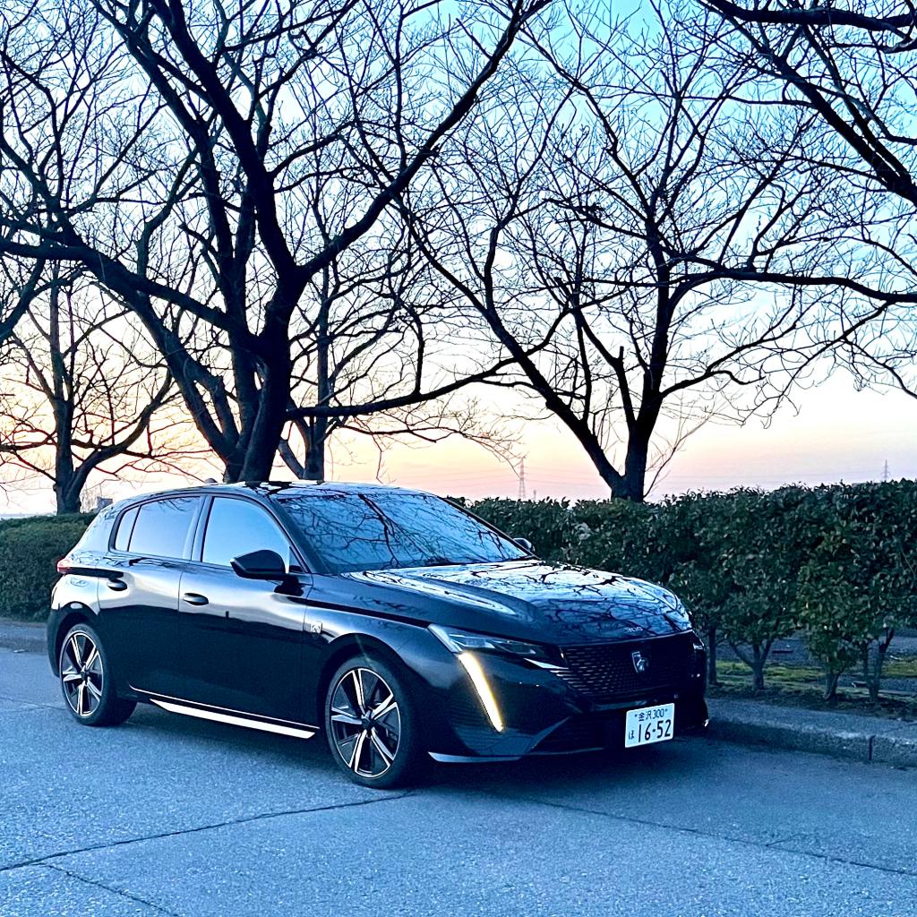 待ちきれませんでした…(^▽^;)