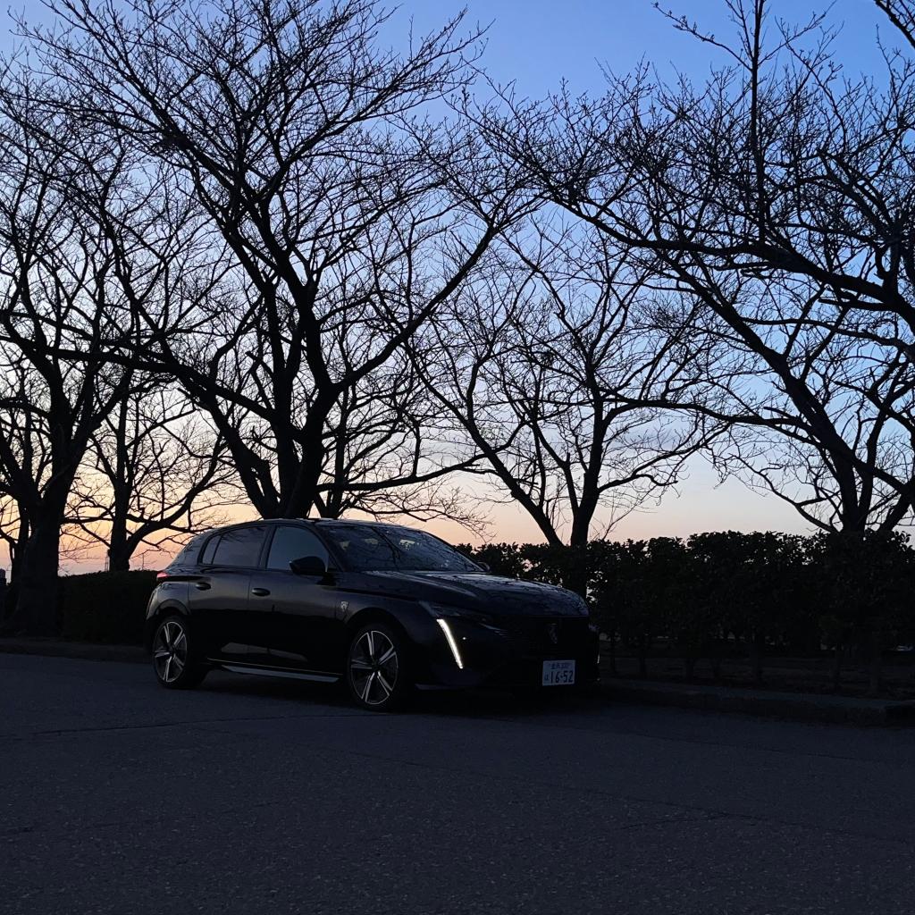 待ちきれませんでした…(^▽^;)