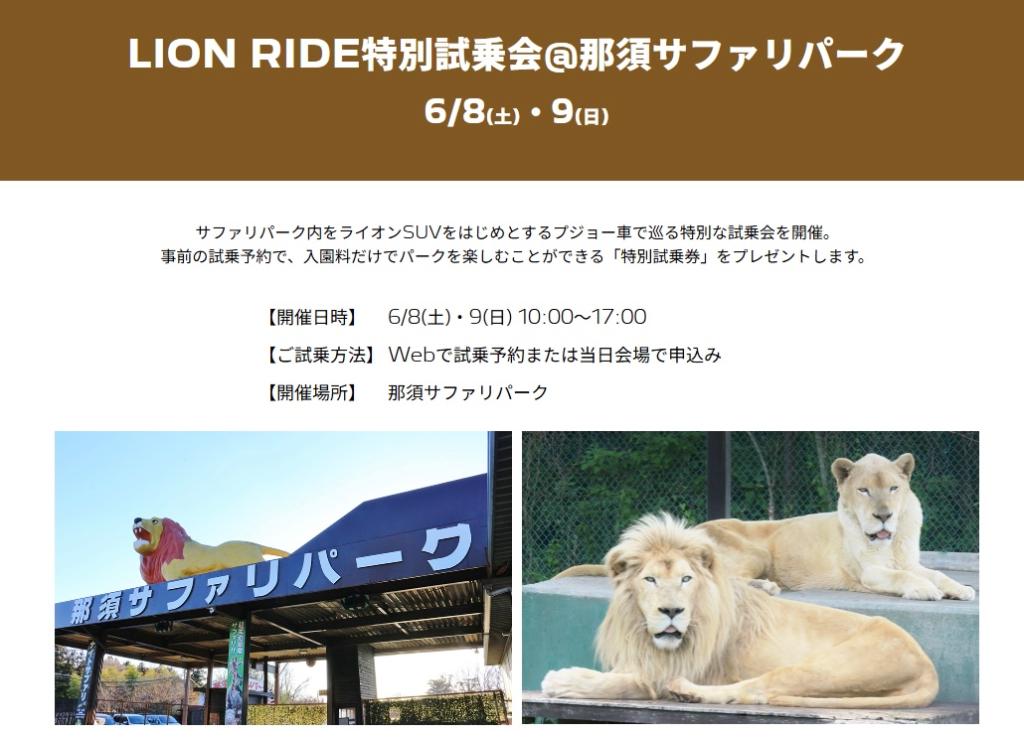 LION RIDEフェア開催中です🚗✨