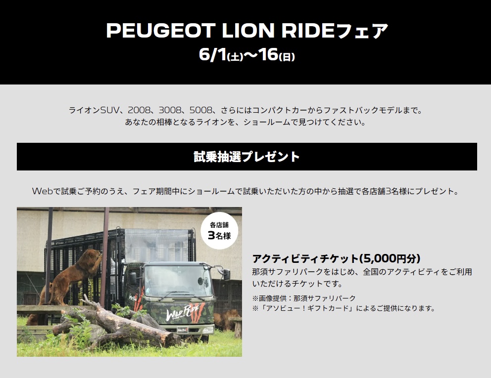 LION RIDEフェア開催中です🚗✨