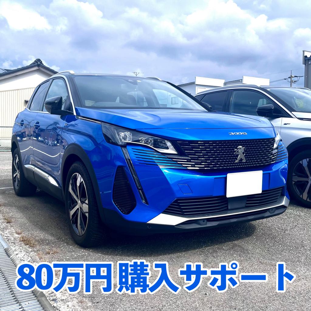 3008/5008　80万円サポート実施中✨