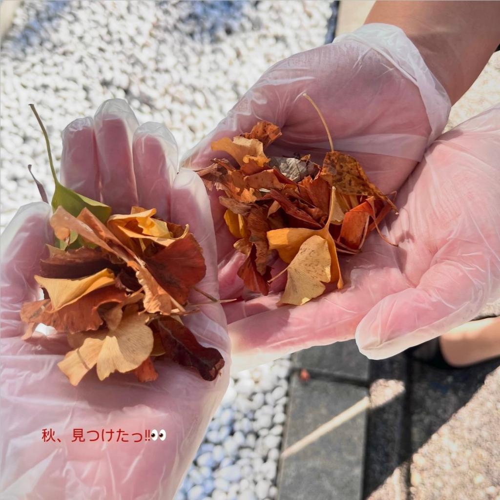 秋 みーつけたっ!!👀🍁