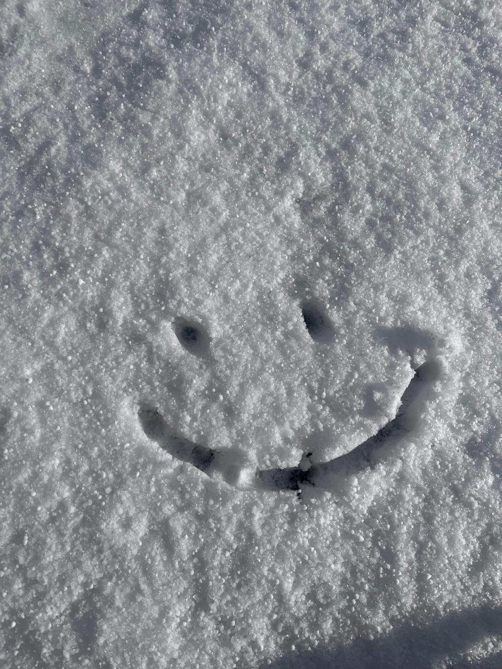 雪かきから始まる1日☃