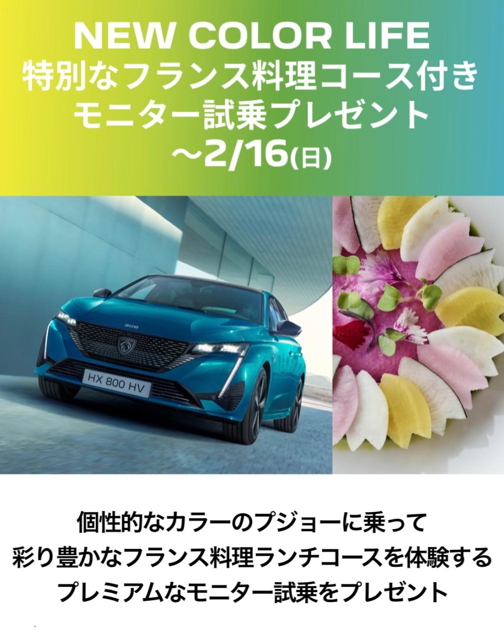 NEW COLOR LIFE