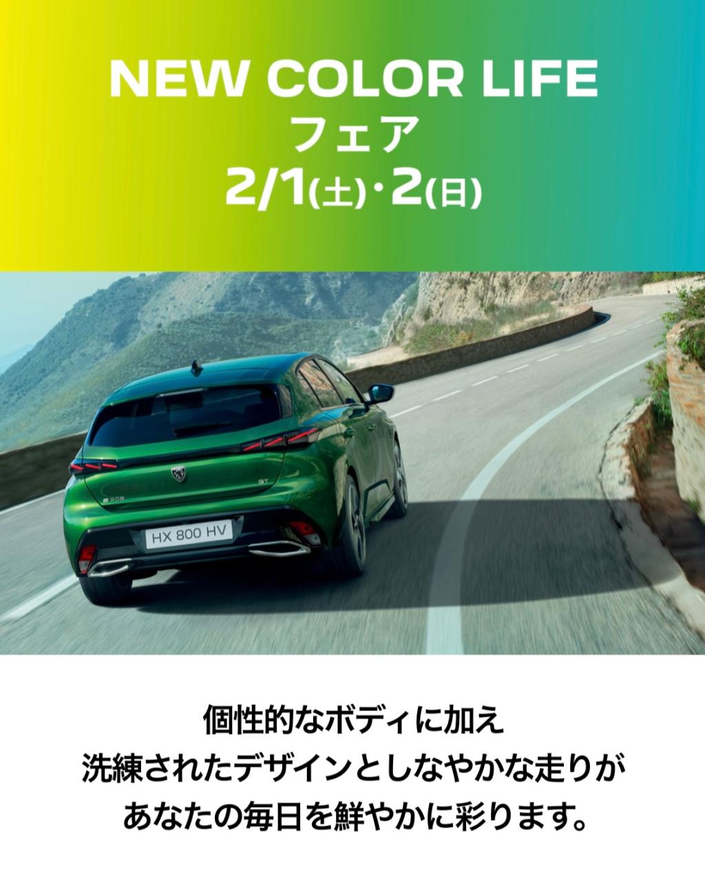 NEW COLOR LIFE