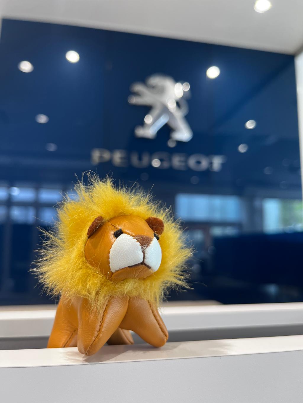 PETIT LION LIFEフェア開催🦁