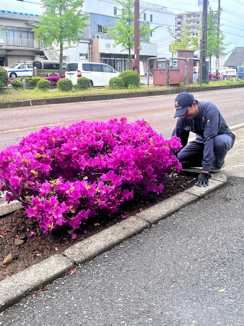今週もよろしくお願い致します🌼