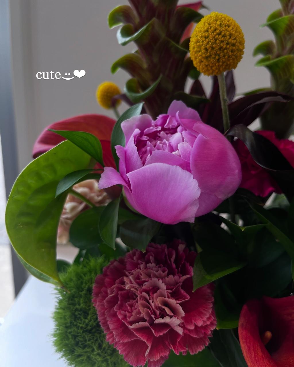 今週のお花💐