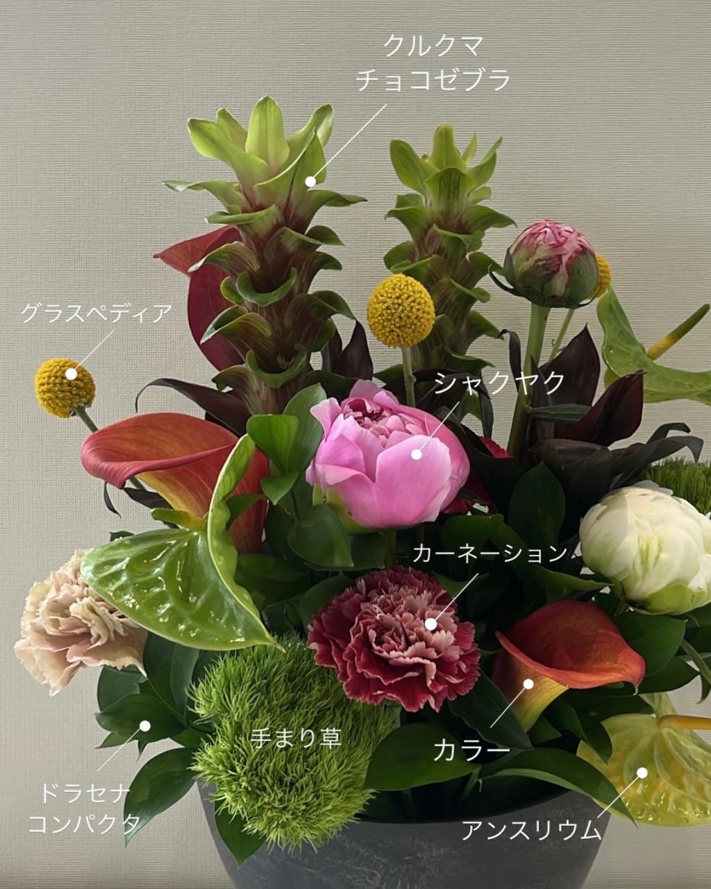 今週のお花💐