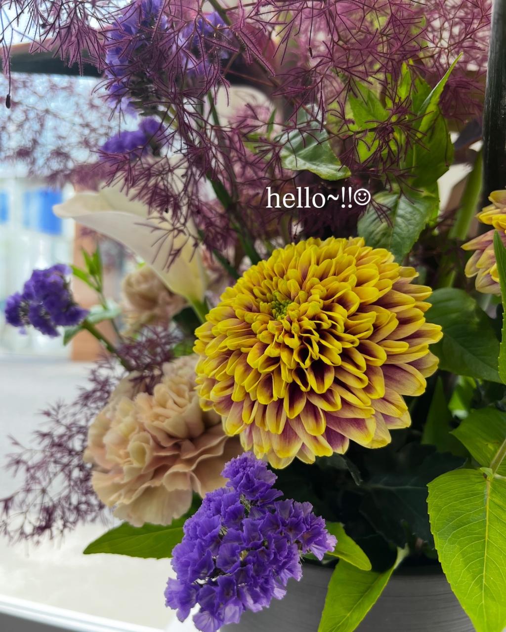 今週のお花💐
