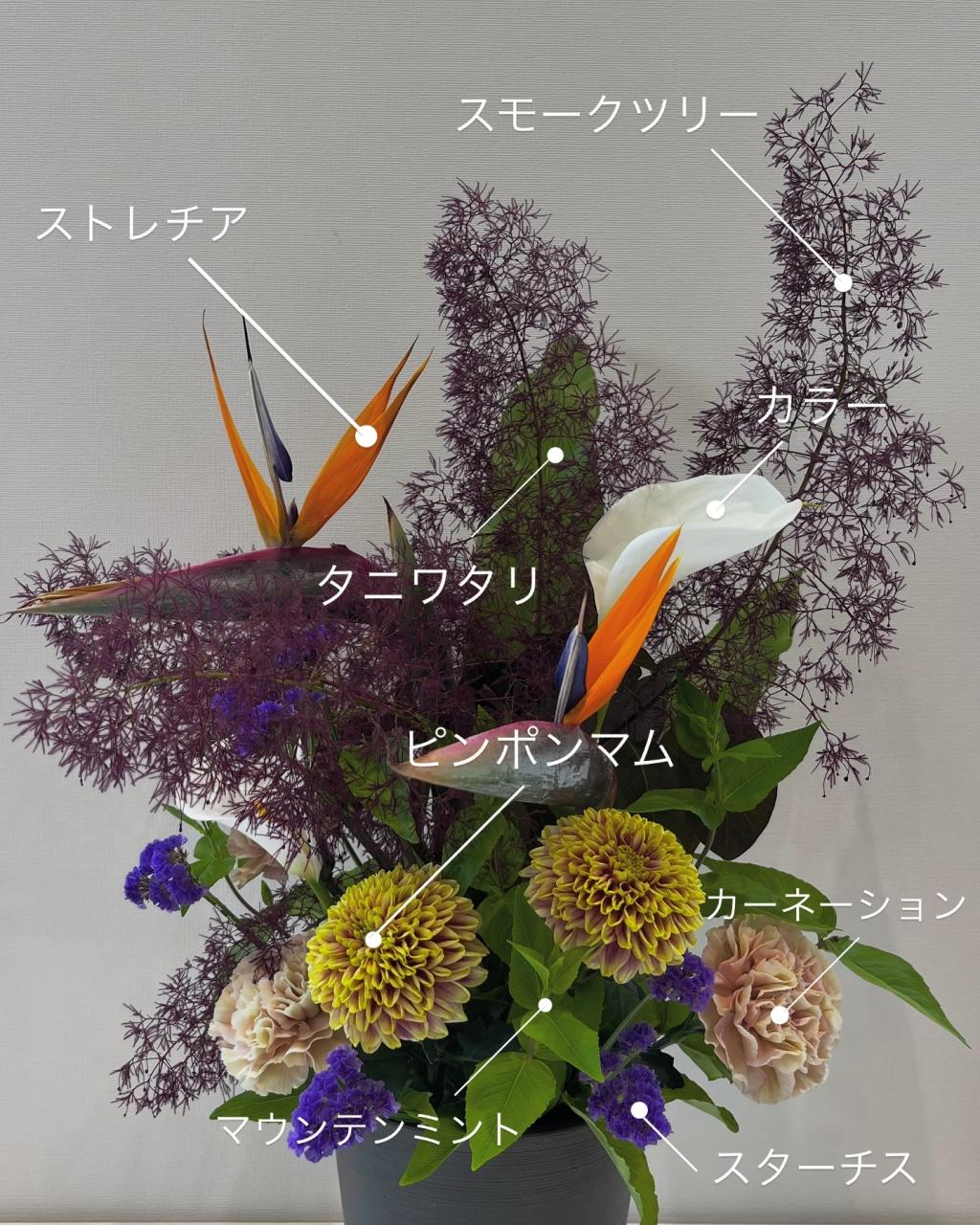 今週のお花💐