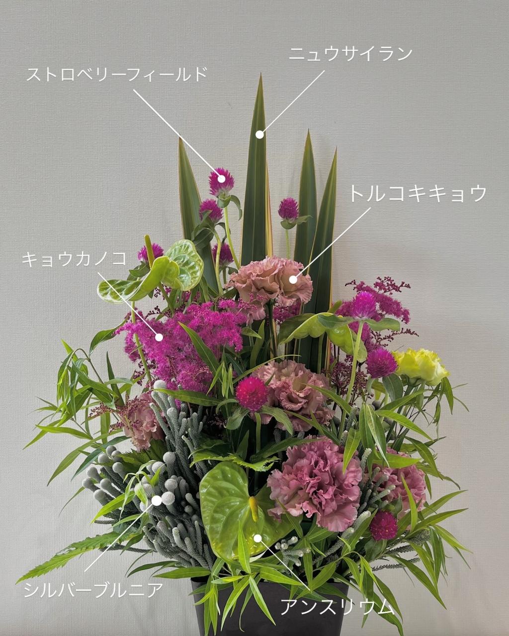 今週のお花💐